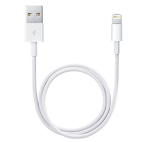 Dây cáp sạc Lightning cho iPhone iPad 1m - Hàng nhập khẩu