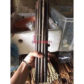 Cầu thẳng mun size 37 phụ kiện lồng chim chào mào