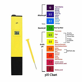 Bút đo độ PH của nước ATC