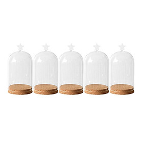 5x Clear Glass Bell Cover Pot Landscape Terrarium Container Lid Vase Bottle