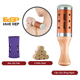 Cây Xông Hơ Ngải Cứu - Dụng Cụ Diện Chẩn
