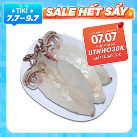 MỰC LÁ MỘT NẮNG - Size 6 Con/500gr