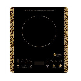 Bếp điện từ Arber AB-260