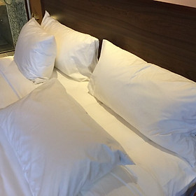 Mua Ruột gối giả Lông vũ Microfiber 20x50x70cm(Trắng tinh)