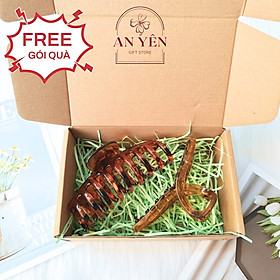 Set Kẹp Tóc Làm Quà Tặng No.13 Tiệm Quà An Yên Tặng Sinh Nhật Người Yêu 20/10 8/3, Quà Tặng Học Viên
