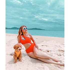 Bikini Đồ Bơi Đi Biển Một Mảnh Khoét Eo Sexy 4 Màu Vàng/Đen/Cam/Vàng R55