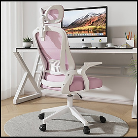Mua Ghế Văn Phòng Lưng Lưới Cao Cấp. Ghế Công Thái Học Ecomic Có Tựa Đầu Điều Chỉnh 3D. Nâng Hạ Độ Cao Tùy Chỉnh