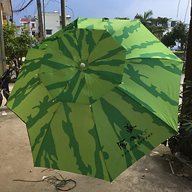 Mua ( khuyến mại ) Ô 2 TẦNG DƯA HẤU ( đại hạ giá )