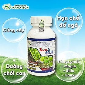 Tech SOLID – Phân bón sinh học cứng cây, dưỡng chồi khỏe, hạn chế đổ ngã