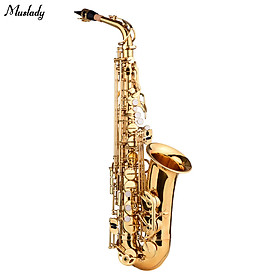Muslady AS-482 E flat Alto Saxophone Eb Key Brass Gold Lacquer with Hard Case Cleaning Brush Cleaning Cloth 1 Pair
