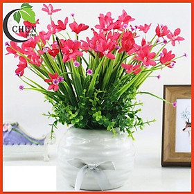 Mua Hoa giả  Chậu hoa  bình hoa thuỷ tiên để bàn giáo viên  bàn phòng khách  bàn trà  bàn học  trang trí kệ tủ  giá sách