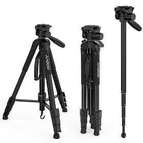 Andoer TTT-666R Camera Tripod Monopod Travel Portable Lightweight Tripod for Canon Nikon DV DSLR Camcorder with Carry