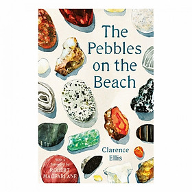 The Pebbles On The Beach