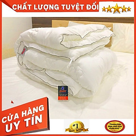 Ruột Chăn Mền Đông Gia Đình Siêu Ấm - Lông vũ nhân tạo - 220*200