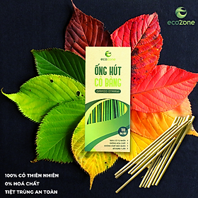 Mua  Bảo hành ẩm mốc 12 tháng  Combo 3 hộp 100 ống hút cỏ bàng khô Ecozone 20cm tiêu chuẩn xuất khẩu - Grass straw Việt Nam