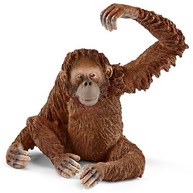 Mô Hình Đười ươi mẹ Schleich Sku 14775