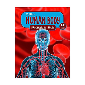 Hình ảnh Human Body: Fascinating Facts