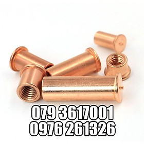 Mua ECU HÀN TÁN HÀN  ĐINH HÀN TRỤ REN TRONG M3-M8