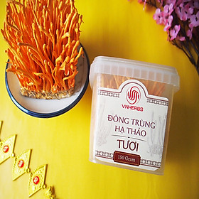 Đông Trùng Hạ Thảo Tươi VnHerbs có đế - Hộp 150g