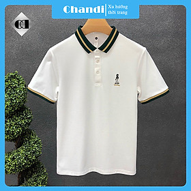 Áo Thun Nam Ngắn Tay Chandi, Chất Thun Cotton Xịn Co Giãn Mẫu Mới NT62