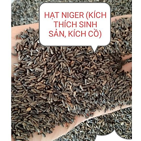 1kg HẠT NIGER (KÍ.CH THÍ.CH SI.NH SẢ.N, KÍC.H C.Ồ) CHO CHIM VẸT