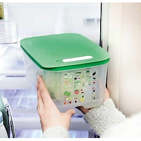 Mua Hộp trữ mát Tupperware có nút hô hấp Ventsmart 4.4L