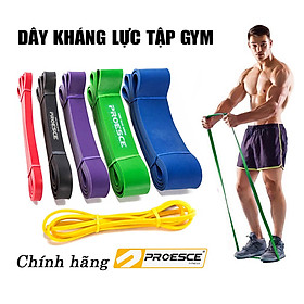 DÂY KHÁNG LỰC TẬP GYM POWERBAND CHÍNH HÃNG PROESCE HỖ TRỢ TẬP GYM, LÊN XÀ