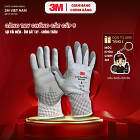 Găng Tay Chống Cắt 3M Cấp Độ 5 Cut Resistant Gloves