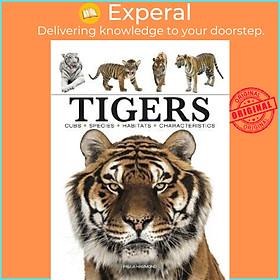 Sách - Tigers by Paula Hammond (UK edition, paperback)
