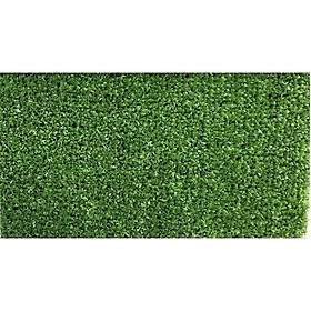 Thảm Có Nhân Tạo HP-L10 - 1 Lớp PP - Độ Dài Cỏ 10mm - Chiều Ngang Cố Định 2m - Mã SZ51X100