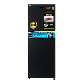 Tủ Lạnh 2 Cánh Panasonic 268L NR-TV301BPKV - Diệt vi khuẩn 99.99% - Hàng Chính Hãng - Giao Toàn Quốc