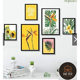 Mua SET 6 TRANH TREO TƯỜNG TROPICAL ĐÃ CÓ KHUNG