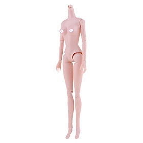 1/6 BJD Doll Fexible Nude Body Model Girl Female with Medium Chest for XinYan Dolls