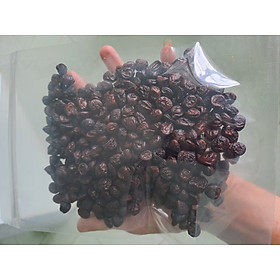 Mua Hạt dổi nếp thơm làm gia vị ướp nướng  muối chấm
