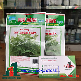 Combo 5-10 gói hạt giống rau Chùm ngây chịu hạn , trồng quanh năm - gói 1g