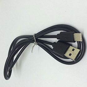 Dây Cáp Sạc USB GoPro Hero 5 Session 3FT
