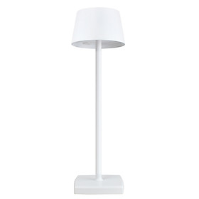 USB Rechargeable LEDs Desk Lamp Touching Control Dimmable Table Lamp Portable Reading Study Light for Kids Bedside