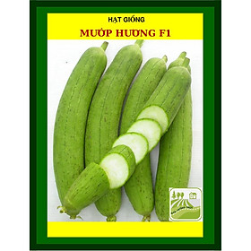 Mua Gói 1gram Hạt Giống Mướp Hương  Mướp Khía