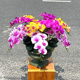 Mua Chậu Hoa LAN HỒ ĐIỆP 12 Nhánh (cao 52cm) cao su nhân tạo trang trí nhà cửa