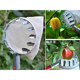 Mua Dụng Cụ Hái Trái Cây Đa Năng 16cm