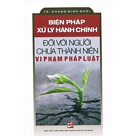 [Download Sách] Biện Pháp Xử Lý Hành Chính Đối Với Người Chưa Thành Niên Vi Phạm Pháp Luật