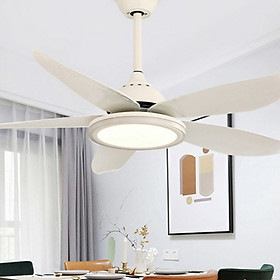 Mua Quạt trần trang trí HL-FAN089