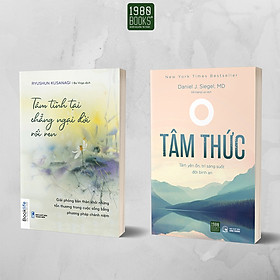 Sách - Combo 2 cuốn Tâm tĩnh tại, chẳng ngại đời rối ren + Tâm thức - 1980Books - 1980Books Offici