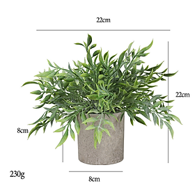 Mua Chậu cây hoa giả cao cấp Hình trụ tròn vân sần Cây nhựa nhiều loại cây và hoa