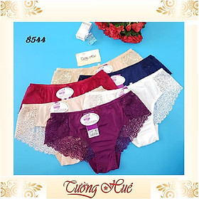 Quần lót nữ annie QE 8544 trơn phối ren phía sau