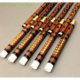 Mua Sáo DIZI (tặng túi đựng  dây đeo  màng rung)