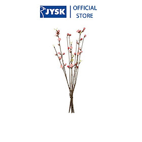 Mua Hoa trang trí | JYSK Hans | giấy/polyester | hồng | C55cm