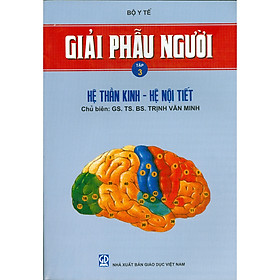 [Download Sách] Giải Phẫu Người - Tập 3 - Hệ Thần Kinh - Hệ Nội Tiết