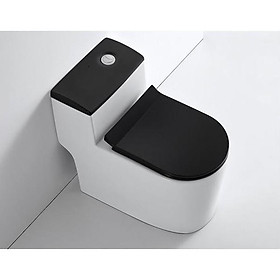 Mua Bồn cầu một khối màu trắng nắp đen