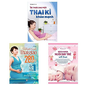 Combo Tri Thức Cho Một Thai Kì Khỏe Mạnh + Bách Khoa Nuôi Dạy Trẻ 0-3 (TB) + Hành Trình Thai Giáo 280 Ngày (TB)